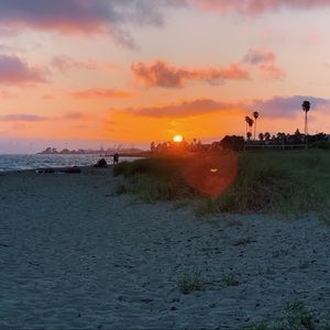 Meet your Posher, Ivy